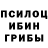 Псилоцибиновые грибы ЛСД Egmonts Plinta