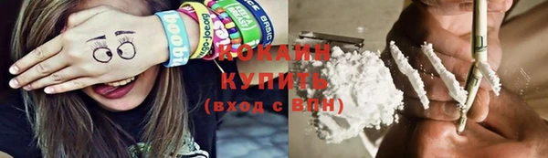 индика Балабаново