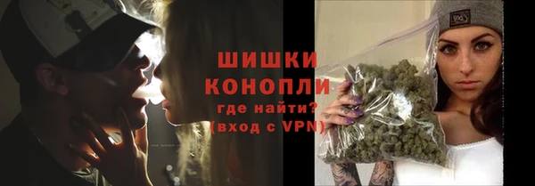 индика Балабаново