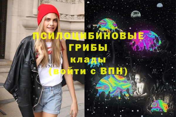 индика Балабаново