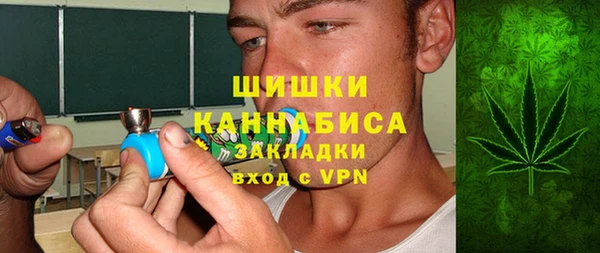 индика Балабаново