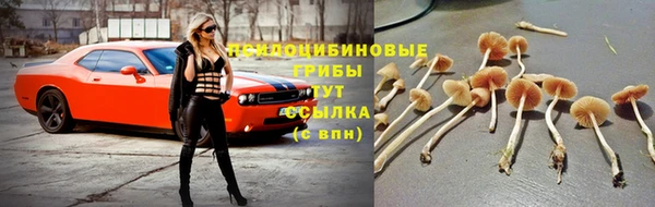 таблы Богородицк