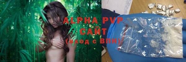 индика Балабаново